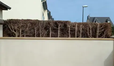 construction terrasse à Dol-de-Bretagne - image 4