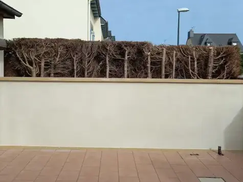 extension maison à Epiniac - image 3