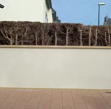 extension maison Pontorson-1