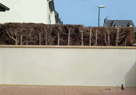 maçon à Pontorson - image 2