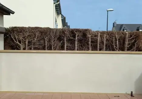 maçonnerie pierre à Dol-de-Bretagne - image 2