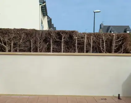 maçonnerie pierre à Roz-sur-Couesnon - image 3