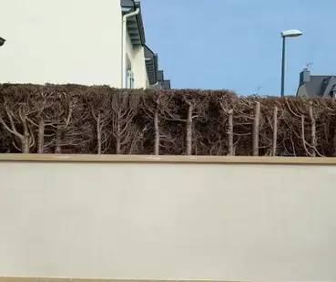 ouverture mur porteur à Roz-sur-Couesnon - image 2