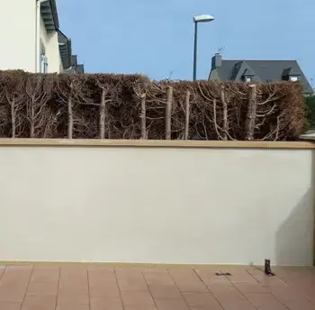 rénovation maison Roz-sur-Couesnon-5